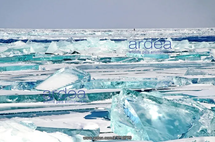 : Ice chaos, Lake Baikal, Olkhon Island, Pribaikal : Ice chaos, Lake Baikal, Olkhon Island, Pribaikal