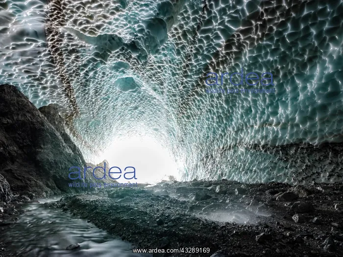 : Ice chapel with meltwater stream, ice field at the : Ice chapel with meltwater stream, ice field at the