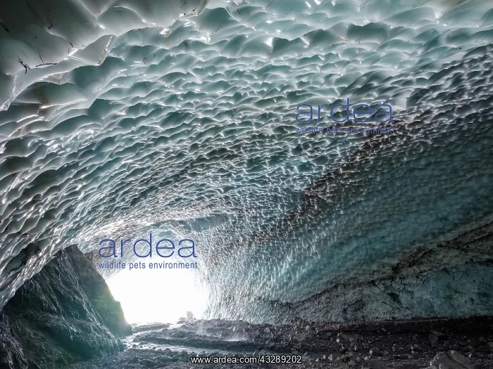 : Ice chapel with meltwater stream, ice field at the : Ice chapel with meltwater stream, ice field at the