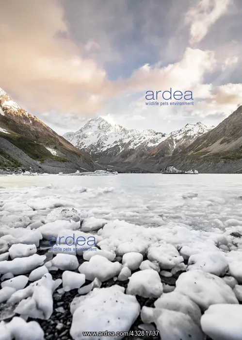  : Ice chunks on Hooker Lake, Mount Cook, Hooker Valley