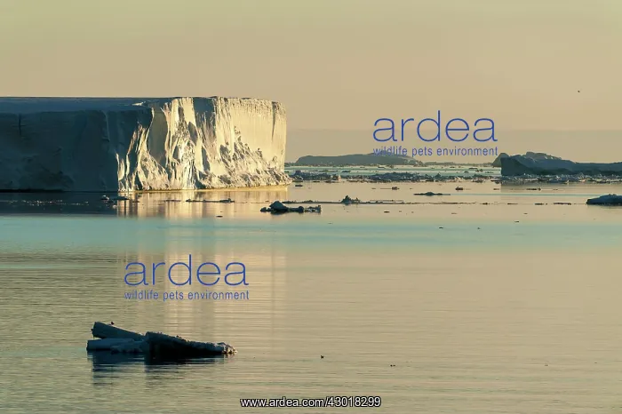  : Ice cliffs at dawn