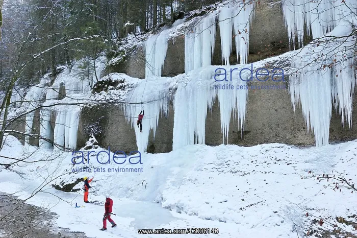 : Ice Climbing on frozen waterfall : Ice Climbing on frozen waterfall