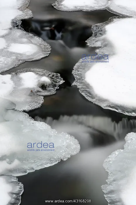: Ice cover along a stream : Ice cover along a stream