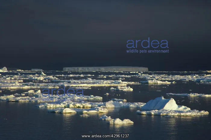  : Ice covered sea and Tabular Icebergs