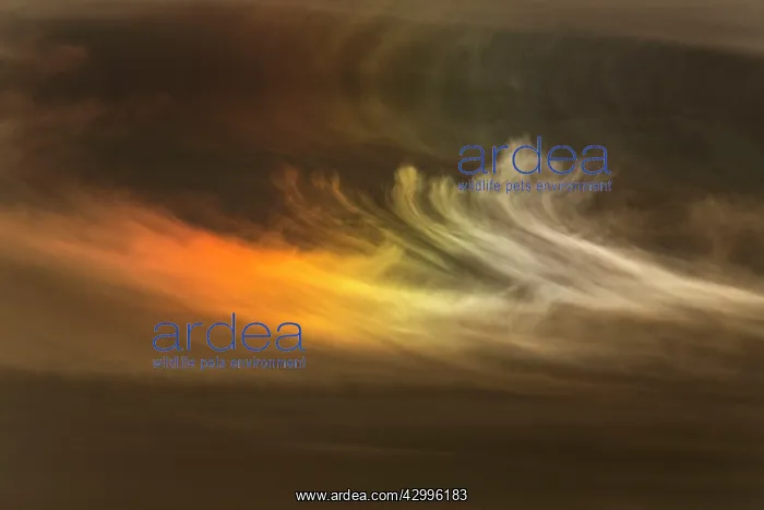: Ice Crystals - in cloud in sky Castro Verde, Alentejo : Ice Crystals - in cloud in sky Castro Verde, Alentejo