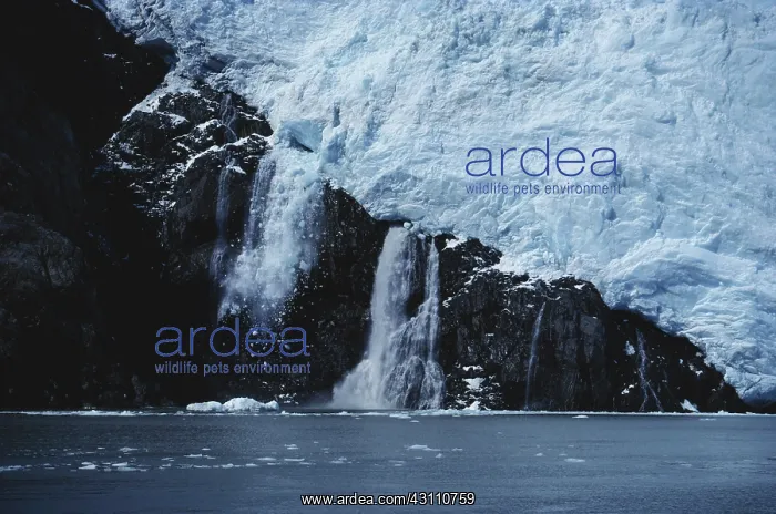 : Ice Falling from Glacier : Ice Falling from Glacier