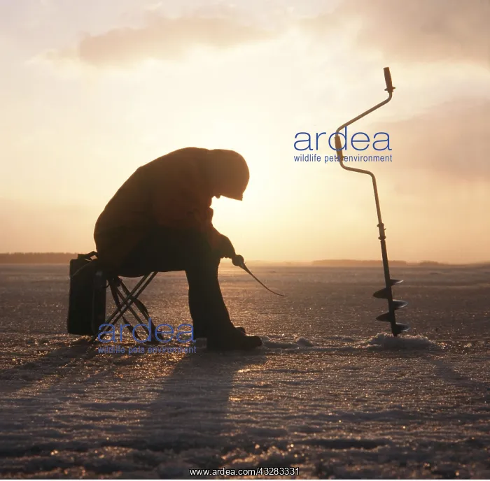 : Ice fishing - using drill in winter : Ice fishing - using drill in winter
