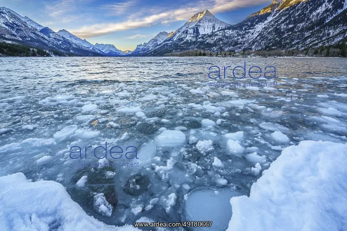: Ice floating on the surface of Waterton Lake as it starts to freeze with the onset of winter : Ice floating on the surface of Waterton Lake as it starts to freeze with the onset of winter