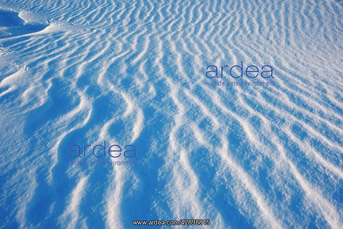  : Ice Floe. Magdalen islands Canada