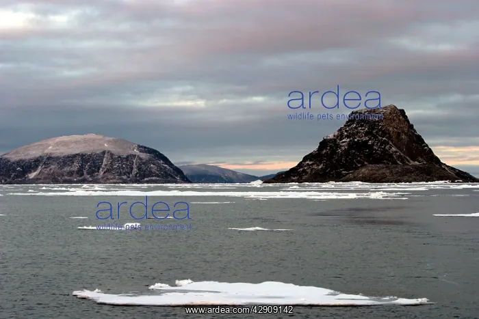 : Ice floe. North Svalbard, Spitzbergen, Norway : Ice floe. North Svalbard, Spitzbergen, Norway