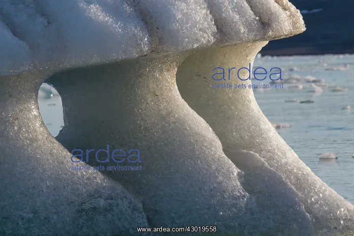 : Ice Floe : Ice Floe