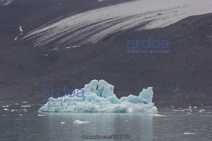 : Ice floe at Monacobreen - Svalbard - Norway : Ice floe at Monacobreen - Svalbard - Norway