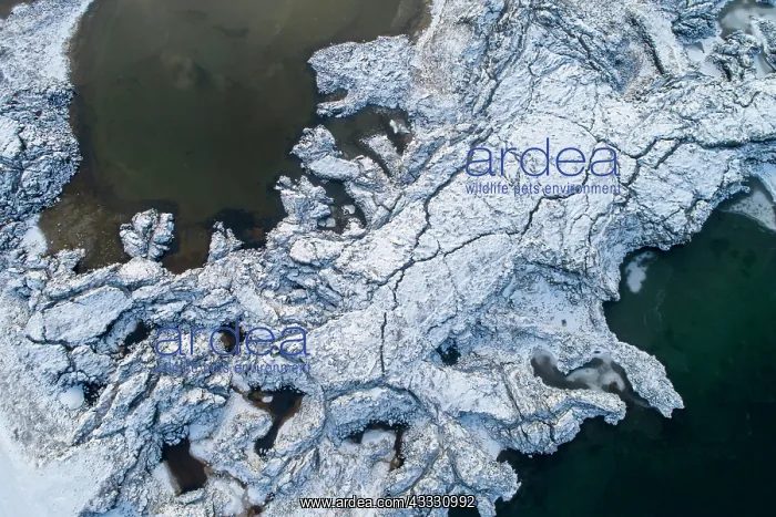 : Ice floes and snow in a fjord, Snaefellsnes peninsula : Ice floes and snow in a fjord, Snaefellsnes peninsula