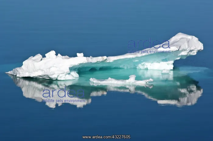 : Ice flows, Greenland Sea, East Coast of : Ice flows, Greenland Sea, East Coast of