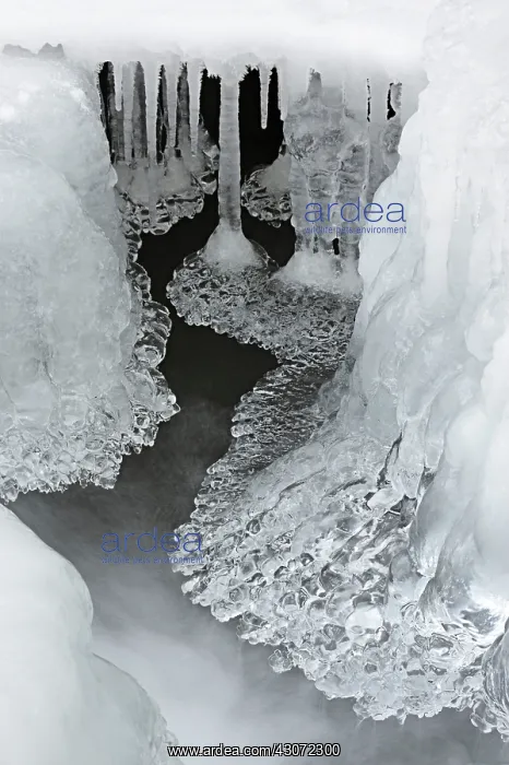: Ice formation formed above a small stream : Ice formation formed above a small stream