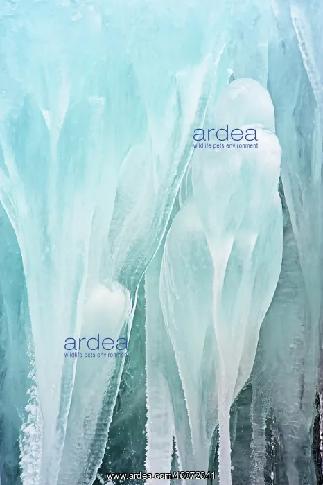 : Ice formation formed at the side of a waterfall : Ice formation formed at the side of a waterfall