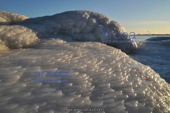 : Ice formation on Lake Michigan, Milwaukee, Wisconsin : Ice formation on Lake Michigan, Milwaukee, Wisconsin