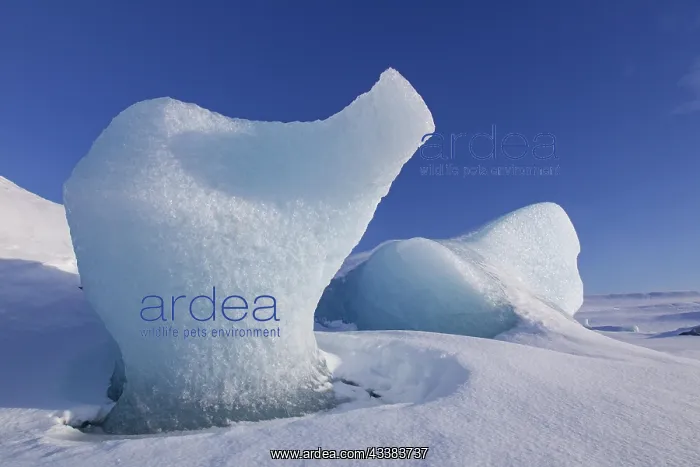: Ice formations in the Fjalls rlnn Glacier Lagoon : Ice formations in the Fjalls rlnn Glacier Lagoon