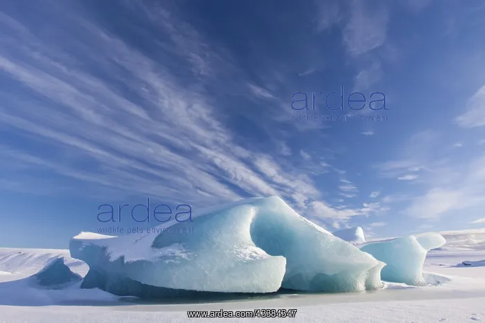 : Ice formations in the Fjalls rlnn Glacier Lagoon : Ice formations in the Fjalls rlnn Glacier Lagoon