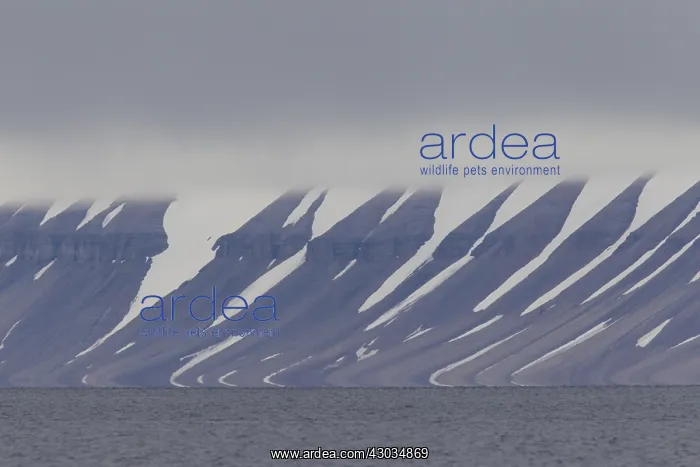 : Ice formations along the Hinlopenstreet - Svalbard - Norway : Ice formations along the Hinlopenstreet - Svalbard - Norway