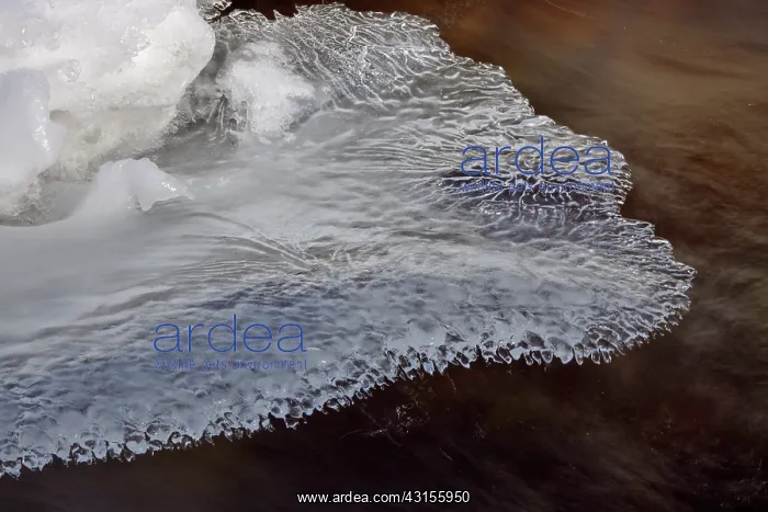 : Ice forms with streaming water underneath : Ice forms with streaming water underneath