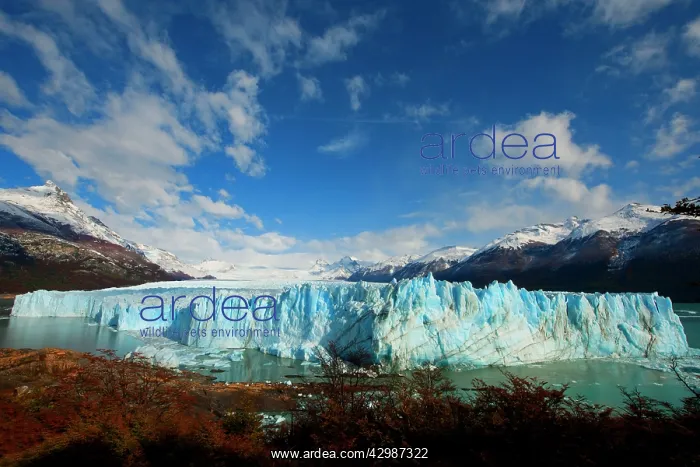 : Ice Glacier : Ice Glacier
