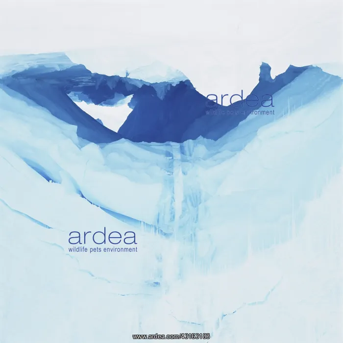 : Ice Grotto, Antarctica : Ice Grotto, Antarctica