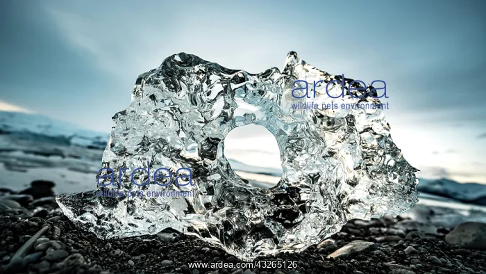 : Ice, ice chunks with hole at the black gravel beach : Ice, ice chunks with hole at the black gravel beach