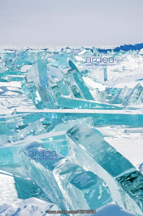 : Ice, Lake Baikal, Olkhon Island, Pribaikalsky Na : Ice, Lake Baikal, Olkhon Island, Pribaikalsky Na