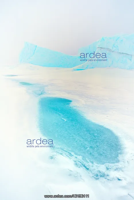 : Ice landscape : Ice landscape