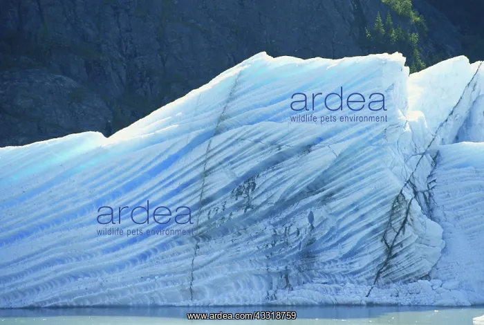 : Ice Layers, Alaska : Ice Layers, Alaska