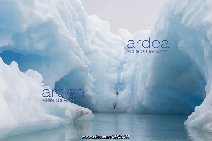  : Ice at Monacobreen - Svalbard - Norway