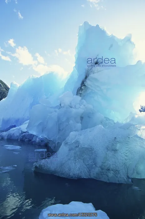 : Ice near LeConte Glacier : Ice near LeConte Glacier