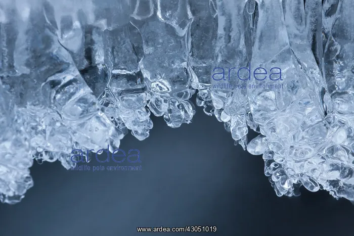 : Ice Oexara Ice UNESCO World Heritage Site Oexara River : Ice Oexara Ice UNESCO World Heritage Site Oexara River