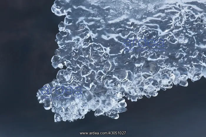 : Ice Oexara Ice UNESCO World Heritage Site Oexara River : Ice Oexara Ice UNESCO World Heritage Site Oexara River