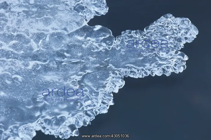 : Ice Oexara Ice UNESCO World Heritage Site Oexara River : Ice Oexara Ice UNESCO World Heritage Site Oexara River