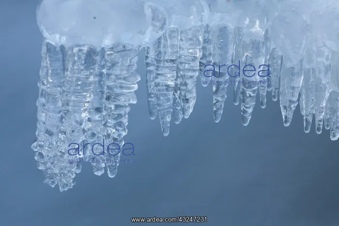 : Ice Oexara Ice UNESCO World Heritage Site Oexara River : Ice Oexara Ice UNESCO World Heritage Site Oexara River
