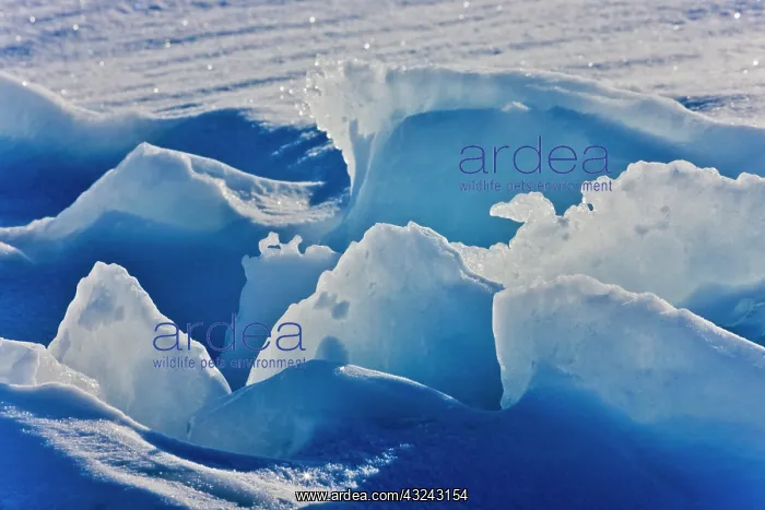 : Ice pattern, Iles de la Madeleine, Quebec : Ice pattern, Iles de la Madeleine, Quebec