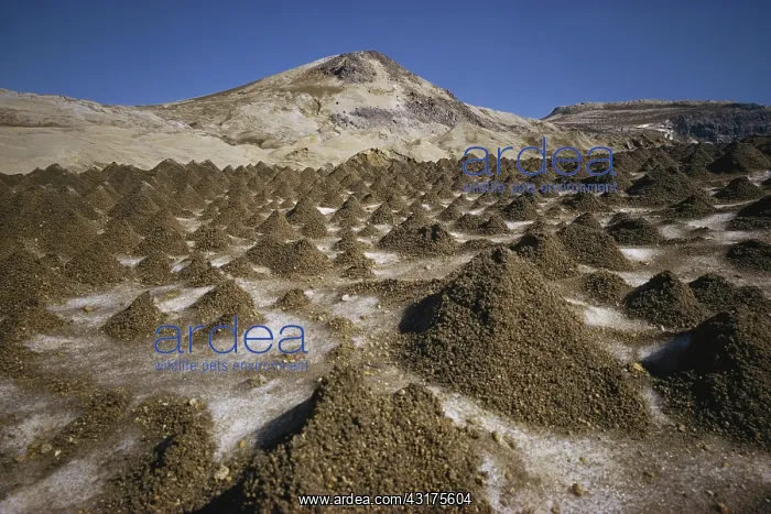 : Ice Pyramids : Ice Pyramids
