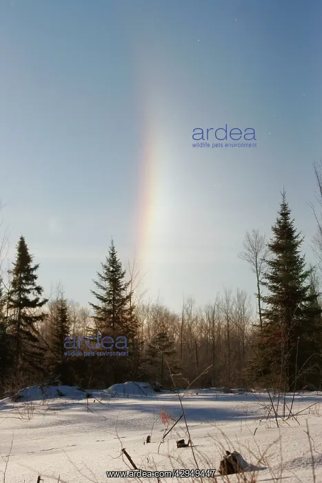  : Ice Rainbow - from ice crystals in the air at -35 degrees F