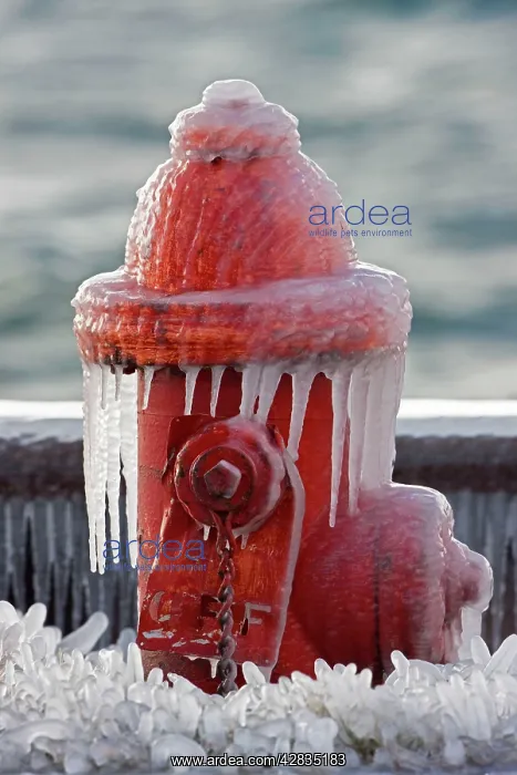 : Ice - Red Fire Hydrant with Icicles Surrounded : Ice - Red Fire Hydrant with Icicles Surrounded