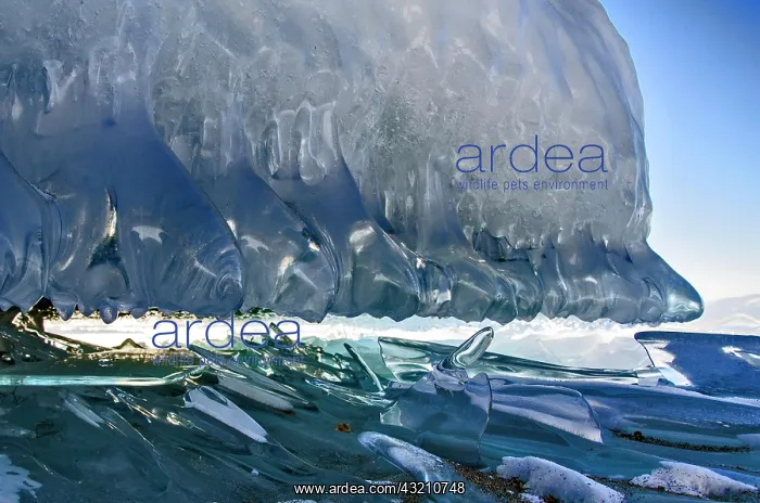 : Ice sculpture, Lake Baikal, Olkhon Island, Priba : Ice sculpture, Lake Baikal, Olkhon Island, Priba
