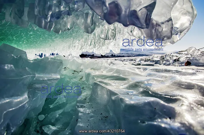 : Ice sculpture, Lake Baikal, Olkhon Island, Priba : Ice sculpture, Lake Baikal, Olkhon Island, Priba