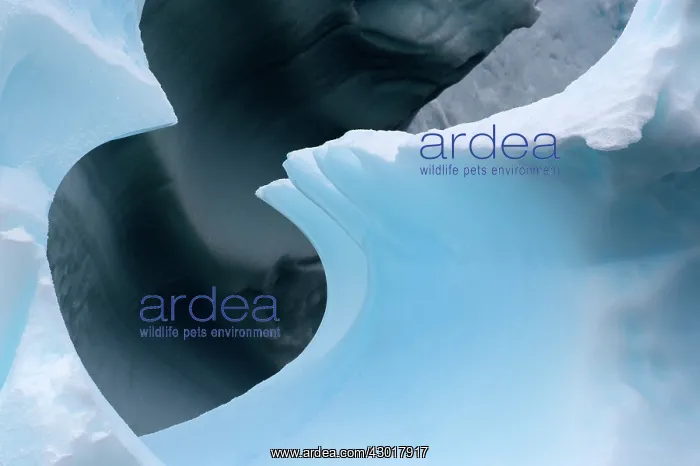  : Ice Shape