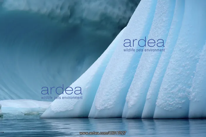  : Ice Shape