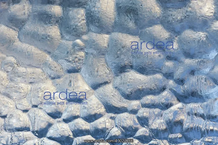 : Ice Structures : Ice Structures
