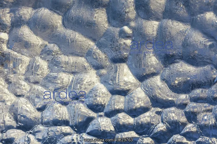  : Ice Structures