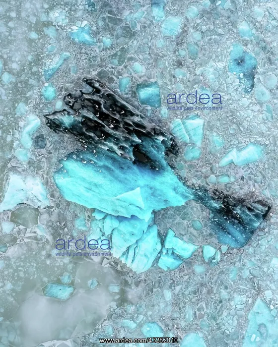 : Ice structures, Vatnajokull glacier, Iceland, Europe : Ice structures, Vatnajokull glacier, Iceland, Europe