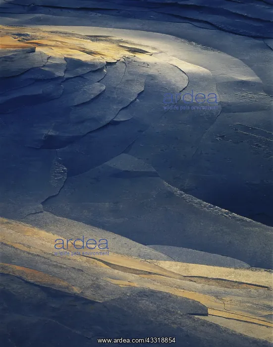 : Ice in a Tidal Area : Ice in a Tidal Area