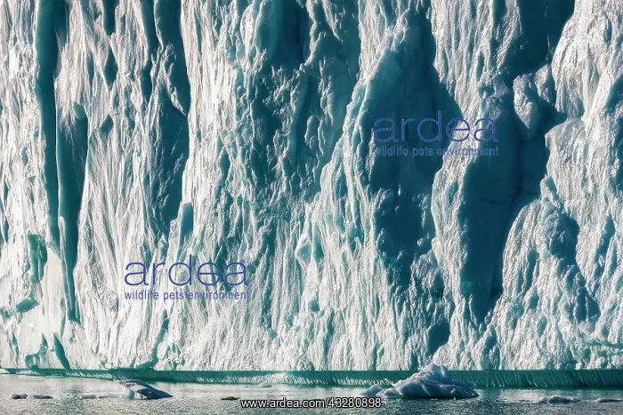 : Ice wall, Scoresbysund, East Greenland, Greenland : Ice wall, Scoresbysund, East Greenland, Greenland